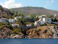 Hydra