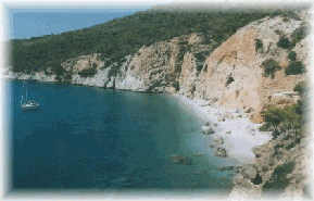 Beach in Agistri